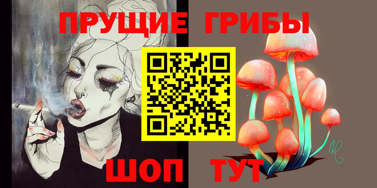 Псилоцибиновые грибы Psilocybe  Галлюциногенные грибы прущие грибы  Вход с VPN  Лосино-Петровский 