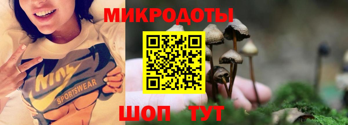 Галлюциногенные грибы Magic Shrooms Лосино-Петровский